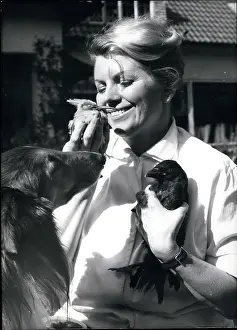 Countless: 1960-1969 Actor - Actress