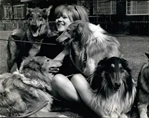 Politely: 1960-1969 Actor - Actress