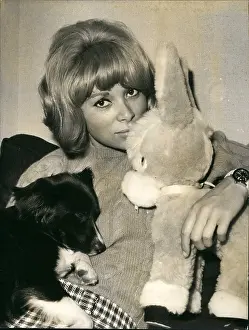Darc: 1960-1969 Actor - Actress