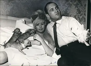 Pillows: 1960-1969 Actor - Actress
