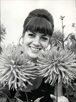 Monique: 1960-1969 Actor - Actress