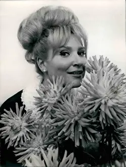 Brun: 1960-1969 Actor - Actress