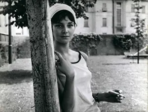 Dexter: 1960-1969 Actor - Actress