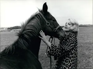 Sorel: 1960-1969 Actor - Actress