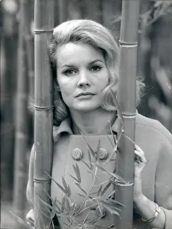 Sorel: 1960-1969 Actor - Actress