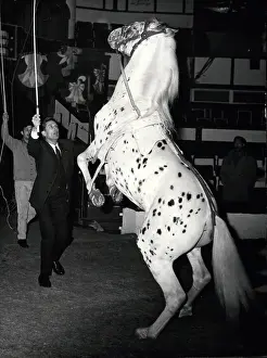 Cirque: 1960-1969 Actor - Actress