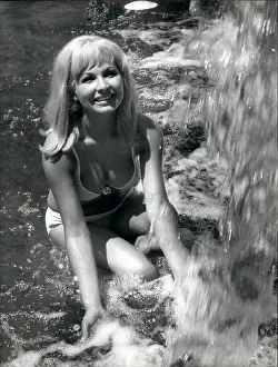 Pardo: 1960-1969 Actor - Actress