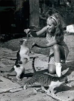 Romes: 1960-1969 Actor - Actress