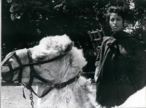 Cathy: 1960-1969 Actor - Actress
