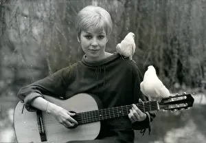 Eurovision: 1960-1969 Actor - Actress
