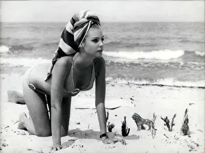 Starlet: 1960-1969 Actor - Actress