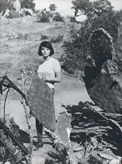 Sylva: 1960-1969 Actor - Actress