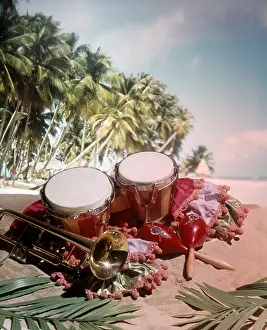 Flavor: 1960s 1970s Still Life Musical