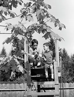 Elevate: 1960s 2 Boys In Tree House