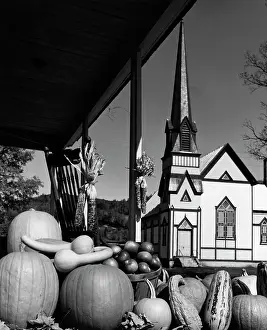 Husk: 1960s Fall Harvest Fruits & Vegetables
