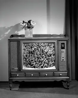 1960s Head-On View Of Tv Set With