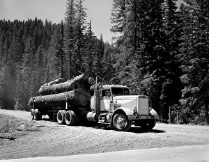 Lumbering: 1960s Logging Truck Hauling Large