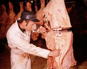 Slicing: 1960s Man Butcher Slicing Cutting Side of Beef Inside a M