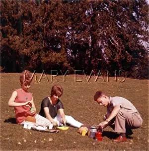 Naff: 1960S PICNIC