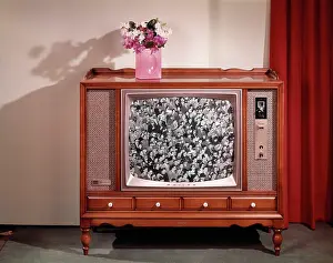 Multitudes: 1960s TELEVISON SHOWING CROWD OF PEOPLE