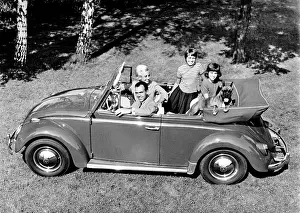 Volkswagens: 1960s VW Beetle