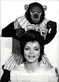 Combs: 1970-1979 Actor - Actress
