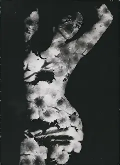 Mclaine: 1970-1979 Actor - Actress
