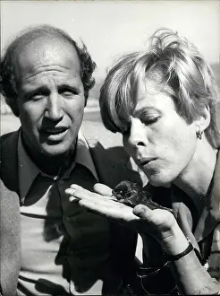 Bibi: 1970-1979 Actor - Actress