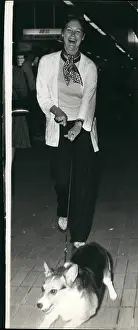 Reunited: 1970-1979 Actor - Actress