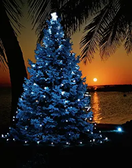 Tacky: 1970s Blue Christmas Tree With