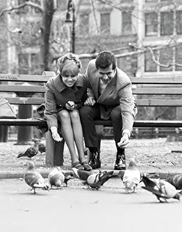 Romantics: 1970s Couple On Park Bench Leaning