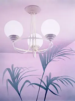 Fronds: 1980s Interior with ceiling light and fern