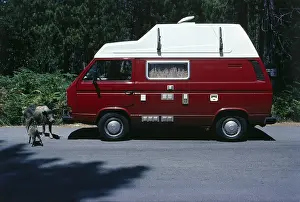 Camper: 1980s VW camper van