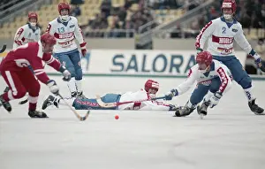 Bandy: 1989 Bandy World Championship