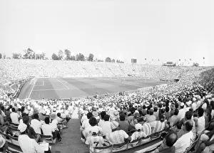 Pasadena: 1994 FIFA World Championship