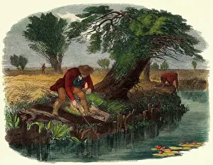 Earthworm: 19th Century Drawing of Men Sniggling for Eels in