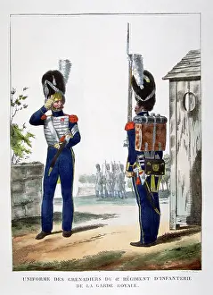 1823: 19th century French cavalry from the royal guard