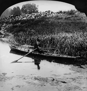 Sculls: 19th century Man in a Rowing boat