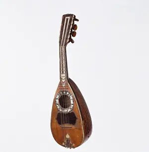 Mandolins: 19th century Mandolin