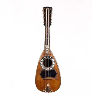 Mandolins: 19th century Mandolin