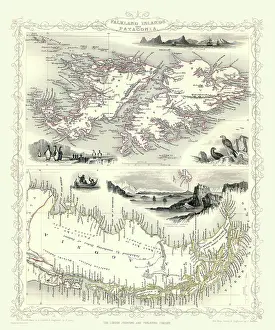 Falklands: 19th Century map of The Falklands