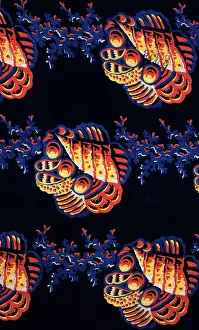 Centurybt50: 19th century Textiles
