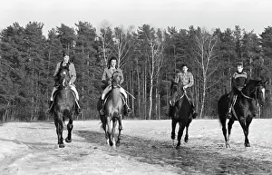 Maksimov: 1st Moscow Stud Farm