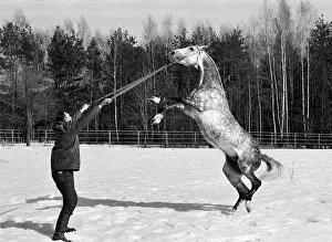 Maksimov: 1st Moscow Stud Farm