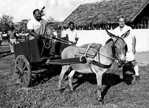 Respond: 2 March 1977 - Is Kenya A No-Party State? - Robert
