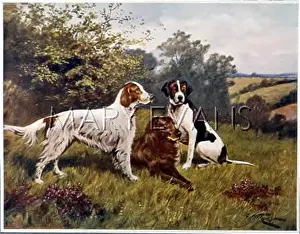 Setters: 2 SETTERS AND A POINTER