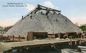Bushels: 200, 000 bushels of Oyster Shells, Hampton, Virginia, USA