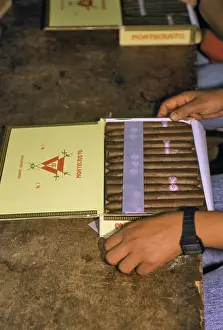 Embargo: 2000s - Hands Packing Box of Hand Wrapped Cigars Havana