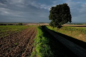 Efforts: 2014 - Fields of Battle