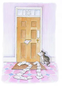 Endersby: 21st Birthday - Front door with envelopes